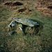 <b>Drizzlecombe Megalithic Complex</b>Posted by Lubin