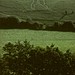 <b>Cerne Abbas Giant</b>Posted by RoyReed