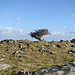 <b>Clitters Cairn</b>Posted by goffik