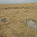 <b>Buttern Hill Stone Circle</b>Posted by Erik the Red
