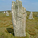 <b>Cnoc Fillibhear Bheag</b>Posted by Kammer