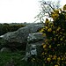 <b>Gigmagog's Grave Ballywillin, Coleraine</b>Posted by hashi