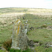<b>Down Tor</b>Posted by Mr Hamhead