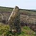 <b>Percy Rigg Standing Stone</b>Posted by fitzcoraldo