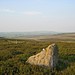 <b>Glaisdale. Black Hill Stone</b>Posted by fitzcoraldo