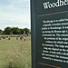 <b>Woodhenge</b>Posted by Jane