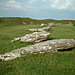 <b>Arbor Low</b>Posted by Uncle Shooey