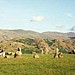 <b>Castlerigg</b>Posted by gyrus