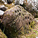 <b>Clava Cairns</b>Posted by rockartwolf