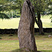 <b>Clava Cairns</b>Posted by rockartwolf