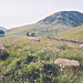 <b>Spittal of Glenshee</b>Posted by BigSweetie