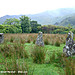 <b>Lochbuie Stone Circle</b>Posted by Kammer