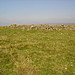 <b>Spurrell's Cross Stone Row</b>Posted by Lubin