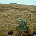 <b>Stall Moor Stone Row</b>Posted by Mr Hamhead