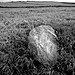 <b>Greycroft Stone Circle</b>Posted by Kammer