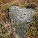 <b>Weary Hill Stone</b>Posted by rockartwolf