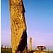 <b>Drumtroddan Standing Stones</b>Posted by follow that cow