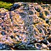 <b>Drumtroddan Carved Rocks</b>Posted by follow that cow