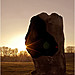 <b>Avebury</b>Posted by Octopus1