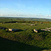 <b>Arbor Low</b>Posted by Kammer