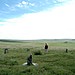 <b>Ringmoor Cairn Circle and Stone Row</b>Posted by Moth