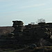<b>Brimham Rocks</b>Posted by danieljackson