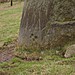 <b>Glenballoch Standing Stone</b>Posted by BigSweetie