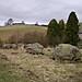<b>Glenballoch Stone Circle</b>Posted by BigSweetie