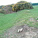 <b>Carron Henge</b>Posted by bawn79