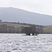 <b>Lochrutton Loch</b>Posted by rockartwolf