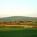 <b>Castle-an-Dinas (St. Columb)</b>Posted by phil