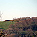 <b>Prideaux Hillfort</b>Posted by phil