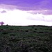 <b>Farthing Downs</b>Posted by Jonnee23