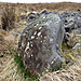 <b>Weetwood Moor</b>Posted by rockartwolf