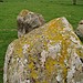 <b>Long Meg & Her Daughters</b>Posted by Vicster