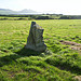 <b>Bodfan Menhir</b>Posted by hamish