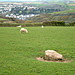 <b>Essa Standing Stones</b>Posted by phil
