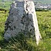 <b>Baltinglass Hill Cairn - Standing Stone</b>Posted by ryaner