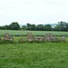 <b>The Rollright Stones</b>Posted by Freddy
