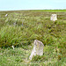 <b>Almsworthy Stone Circle</b>Posted by juamei