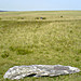 <b>Porlock Stone Circle</b>Posted by juamei