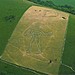 <b>Cerne Abbas Giant</b>Posted by Myer