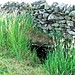 <b>Barns of Airlie Souterrain</b>Posted by scotty