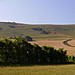 <b>The Long Man of Wilmington</b>Posted by Cursuswalker