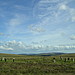 <b>White Moor Stone Circle</b>Posted by otterman