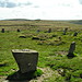 <b>White Moor Stone Circle</b>Posted by otterman