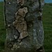 <b>Wade's Stone (South)</b>Posted by fitzcoraldo