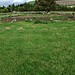 <b>Carrig Cairns</b>Posted by ryaner