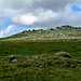 <b>Rough Tor</b>Posted by Mr Hamhead