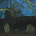 <b>The Nine Stones of Winterbourne Abbas</b>Posted by Snuzz